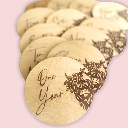 Monthly Milestone 1-12 Month Signs for Baby Girl Highland Cow Photo Prop Wooden Markers Western Theme Baby Gift Bundle for Baby Shower Gift