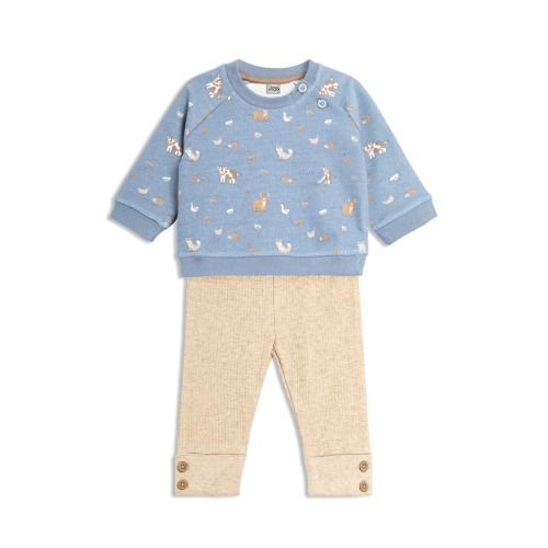 Woodland Friends Sweatshirt & Leggings Set, 3-6M