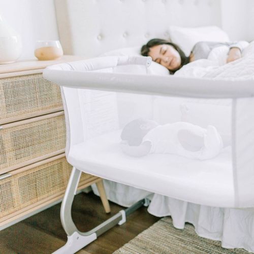Baby Delight Beside Me Dreamer Bassinet and Bedside Sleeper - Driftwood Gray