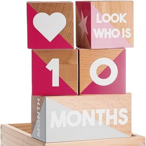 Baby Monthly Milestone Blocks — Cute Nursery Decor — Lovely Newborn Photography Props — Baby Shower Gifts (Pink & Gray)