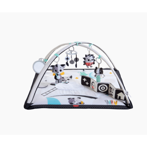 Tiny Love Gymini Deluxe Activity Gym, Magical Tales Black and White