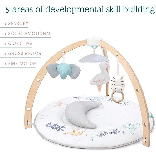 aden + anais Play and Discover Baby Activity Gym – 30+ Developmental Benefits - 3 Attachable Toys + Plush Tummy Time Pillow – 100% Cotton Muslin – Machine Washable