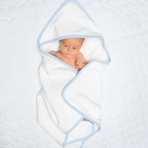 Gingham Essentials Light Blue Gingham Trim Towel