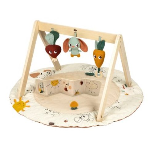 Tiny Love Luxe Developmental Gymini