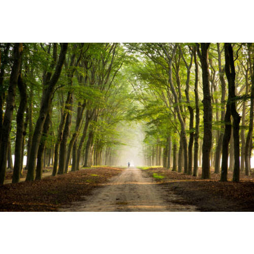 Morton Arboretum - Yearly Membership