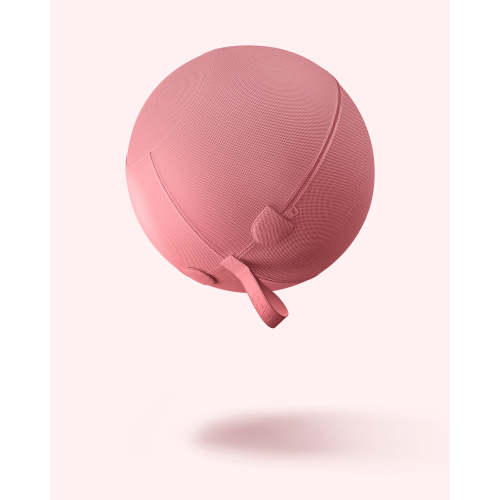 Bala Balance Ball