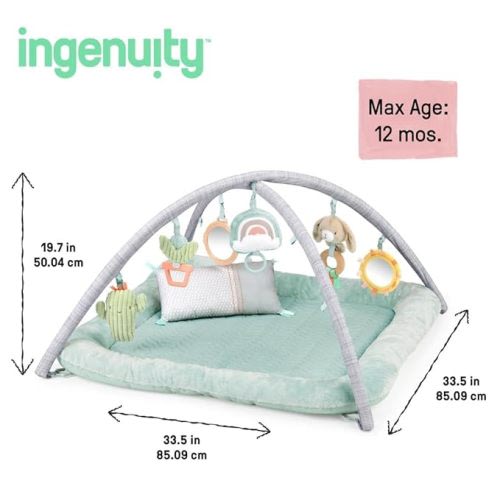 Ingenuity Calm Springs Plush Activity Gym for Baby, Ultra-Soft Premium Mat, Toys