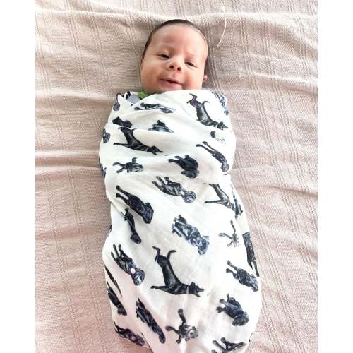 Black Labs - Swaddle