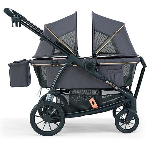 Pamo Babe All-Terrain Wagon Stroller for Two Kids, Double Stroller with Push or Pull Handle, Canopy, Storage Basket, Dinner Plate, Oversized Damping Wheels, Mosquito Net and Rain Cover Grey