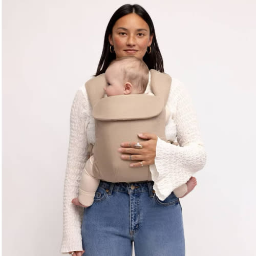 Desert Lark - Aerial Carrier – WildBird