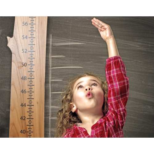 Growth Chart - Elm - Finished - Wood From The Hood