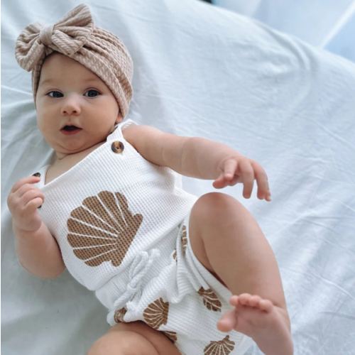 Seashell Set