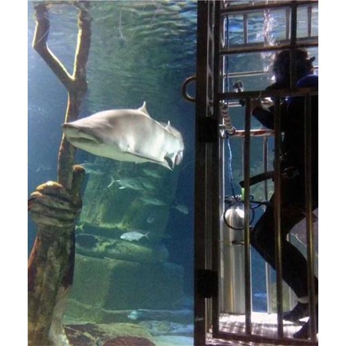 Long Island Aquarium Gift Card