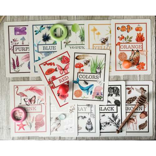 Color Flashcards | Chickadees Wooden Toys