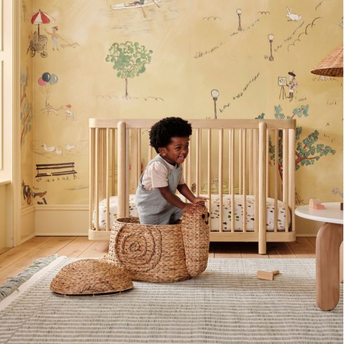 Snail Basket