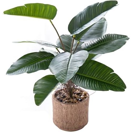 12.8'' Artificial Banana Leaf Plant in Cement Pot, Lifelike Faux Tropical Bird of Paradise Plant for Indoor Home Office Living Room Bathroom Decor, No Maintenance Required