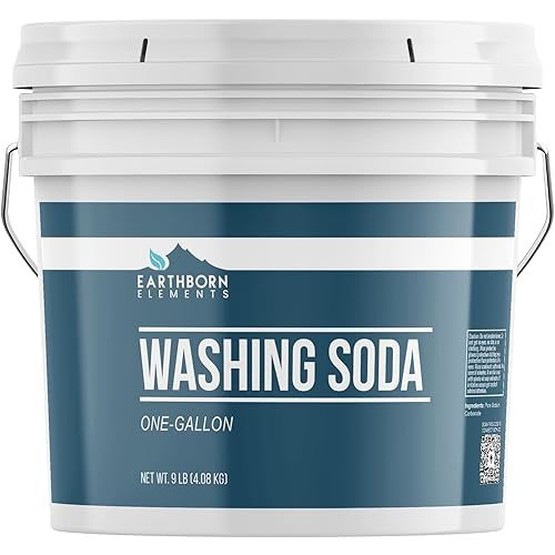 Earthborn Elements Washing Soda (1 Gallon), Soda Ash, Sodium Carbonate, Non-Toxic Laundry Booster
