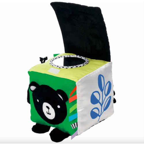 Wimmer Discovery Cube