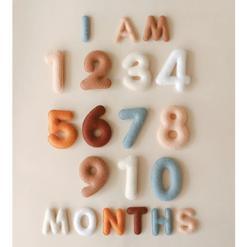 Milestone Felt Numbers in Neutral – Lucy Darling