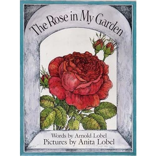 The Rose in My Garden