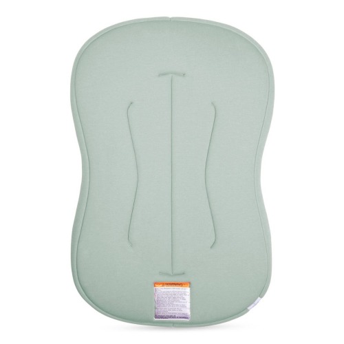 Infant Curve Lounger