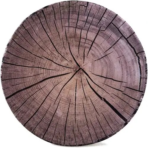 HYSEAS Decorative Round Throw Pillow, 3D Digital Print Comfortable Kids Funny Cute Wood Log Pillow Circle Seating Floor Cushion for Home, Couch, Sofa, Bedroom, Living Room Decor, Dark Grey Stump