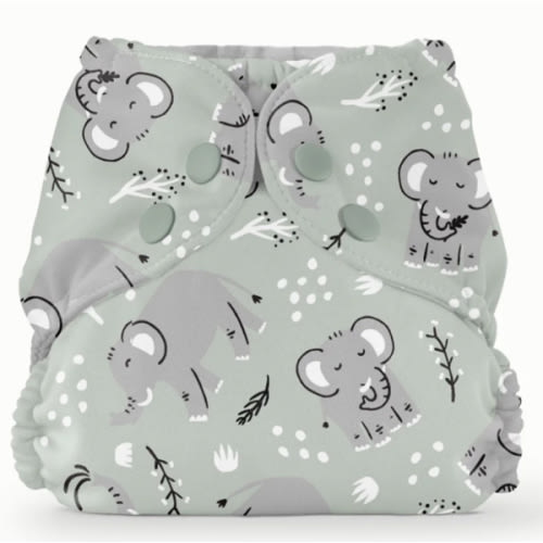 Outer–WWF Elephants / Two