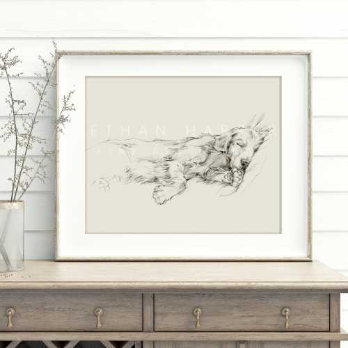 Golden Retriever Drawing Fine Art Print by Artist, Ethan Harper. Artwork for Dog Lovers.