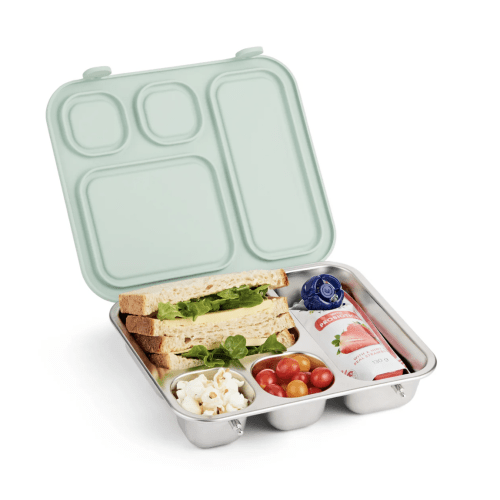 Stainless Steel Bento Lunch Box with Silicone Lid (Sage)