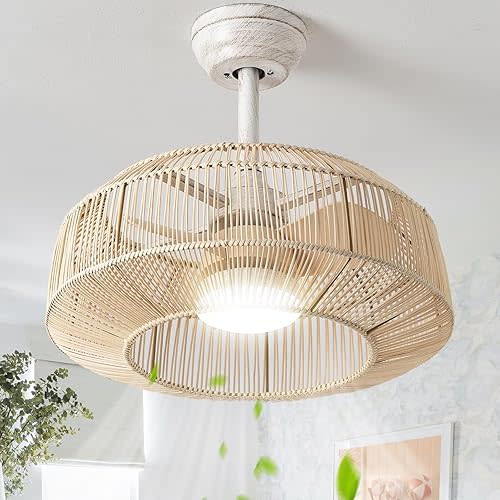 20" Caged Ceiling Fan with Light, Rattan Boho Chandelier Ceiling Fans with Lights Remote Control, LED Dimmable Lighting with 6 Speeds for Bedroom, Nursery, Living Room