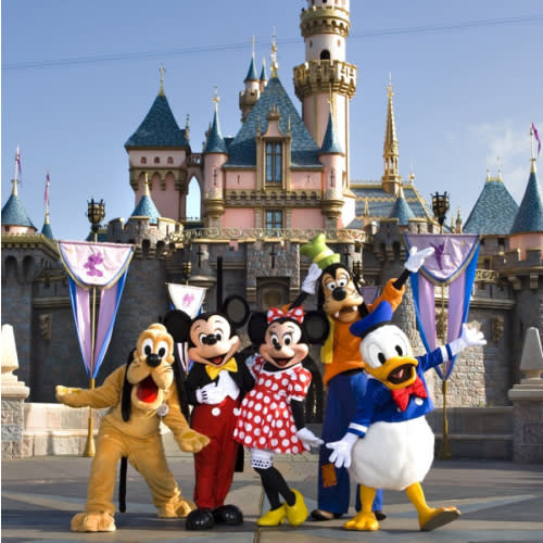 Disneyland Trip Fund