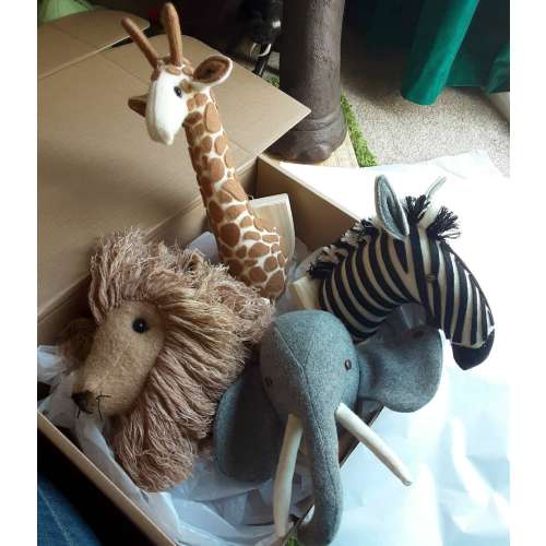 Elephant, Giraffe, Zebra, lion set