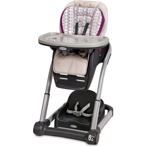 Graco Blossom 6 in 1 Convertible High Chair, Nyssa