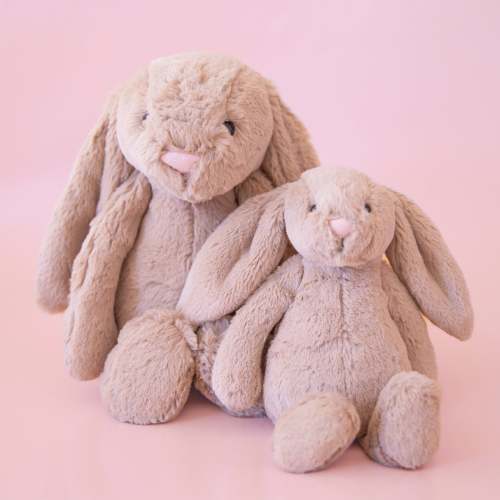 Bashful Bunny | Beige – Pigment