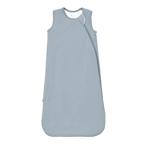 KYTE BABY Unisex Rayon Sleeping Bag for Babies and Toddlers, 1.0 Tog
