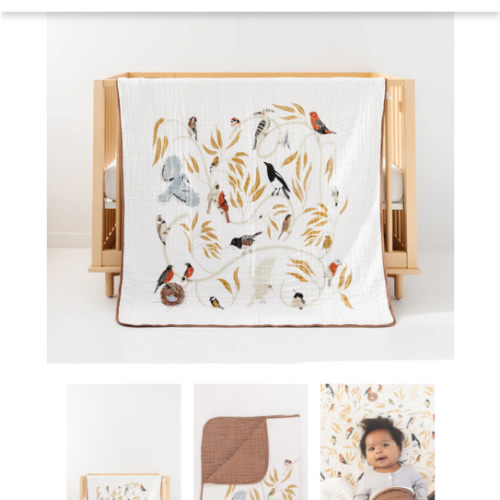 For the Birds Quilt