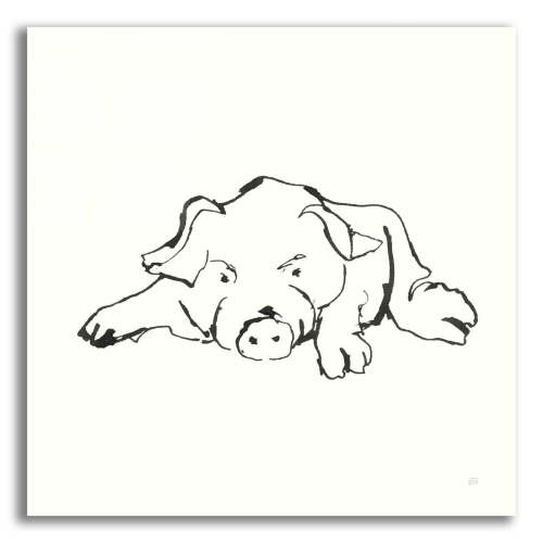 Epic Art 'Line Pig I' by Chris Paschke, Acrylic Glass Wall Art, 12"x12"