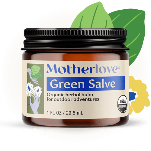 Organic Green Salve | Motherlove – Motherlove Herbal Company