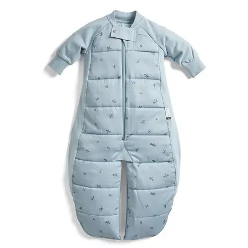 Ergopouch Sleepsuit Bag Dragonflies 2.5 Tog Size 3-12 Months | Baby Bunting AU