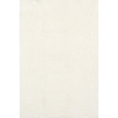 Alvina Solid Machine Washable Runner Shag Rug for Living Room Bedroom Dining Room Nursery Entryway Hallway