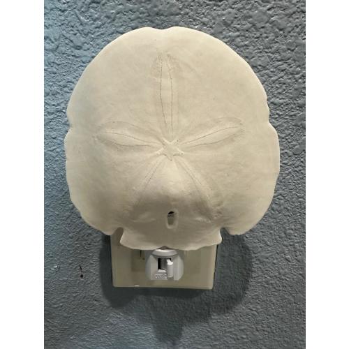 Coastal Arrowhead Sand Dollar Night Light - Handcrafted Organic Shell Decor with Warm Glow - Perfect Beach House or Nursery Gift
