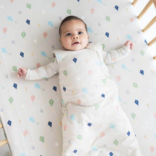 Sleep Bag in Kite 1.0