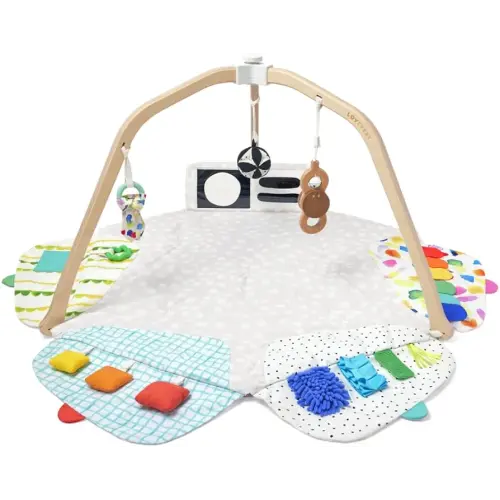 LOVEVERY | The Play Gym | Award Winning For Baby , Stage-Based Developmental Activity Gym & Play Mat for Baby to Toddler