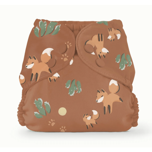 Outer–MC Foxes / One