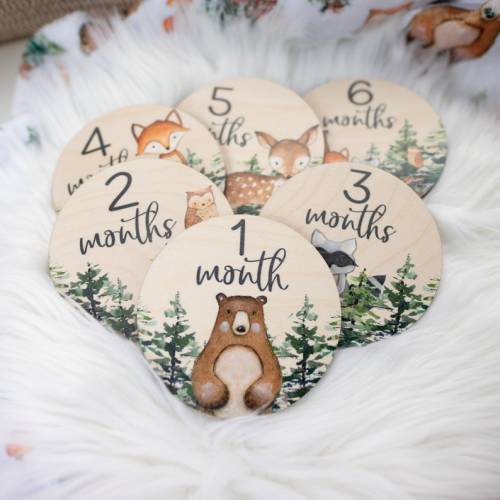 Woodland Milestone Cards, Baby Milestone Woodland Discs Marker, Wood Milestone Card, Baby Milestones, Photo Prop, Woodland Nursery Theme W1 - Etsy