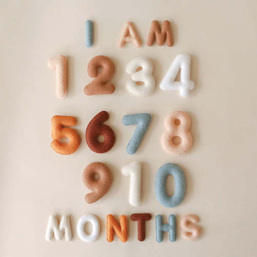 Milestone Felt Numbers in Neutral – Lucy Darling