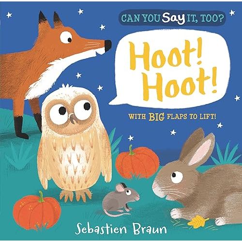 Can You Say It, Too? Hoot! Hoot! Board book – Lift the flap, August 25, 2015