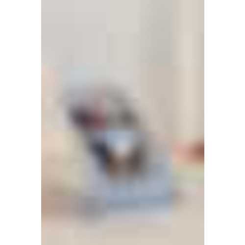 BabyBjörn Bouncer Balance Soft