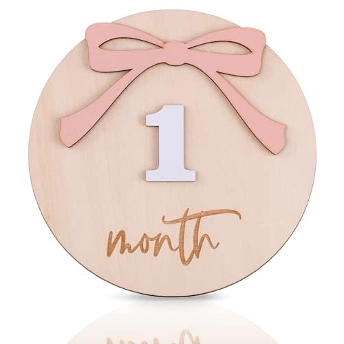 Daisy 3D Baby Monthly Milestone, Wooden Baby Milestone Signs, Monthly Milestone Wood Discs, Baby Milestone Discs (A24)