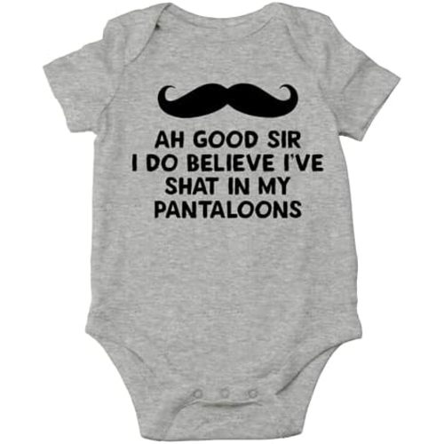 AW Fashions Ah Good Sir, I Do Believe I've Shat My Pantaloons Baby Bodysuit Cute Boy Girl Newborn Outfit